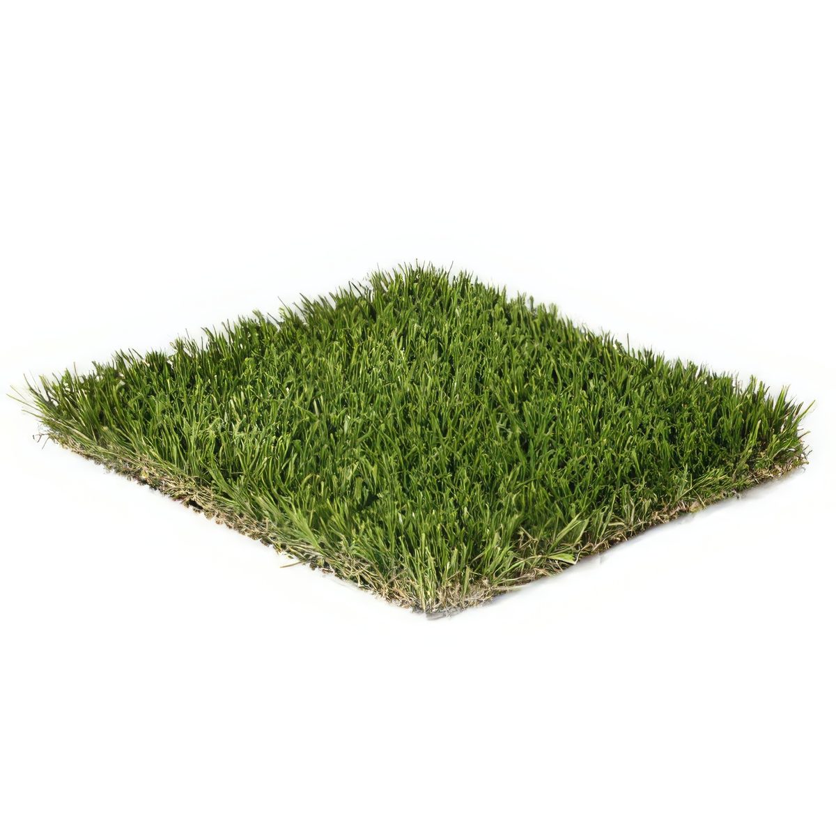 Tropical 65 synthetic turf close-up